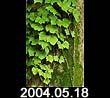2004.05.18