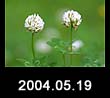 2004.05.19