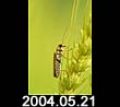 2004.05.21