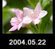 2004.05.22