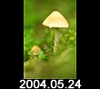 2004.05.24