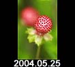 2004.05.25