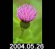 2004.05.26