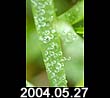 2004.05.27