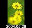 2004.05.28