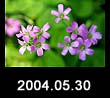 2004.05.30