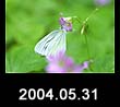 2004.05.31