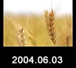2004.06.03