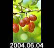 2004.06.04