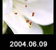 2004.06.09
