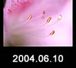 2004.06.10