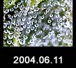 2004.06.11