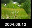 2004.06.12