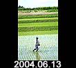 2004.06.13
