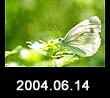 2004.06.14