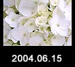 2004.06.15