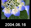 2004.06.16