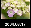 2004.06.17