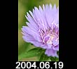 2004.06.19