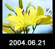 2004.06.21