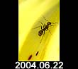 2004.06.22