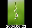 2004.06.23