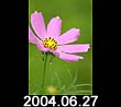 2004.06.27