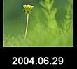 2004.06.29