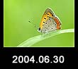 2004.06.30