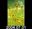 2004.07.01
