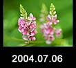 2004.07.06