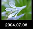 2004.07.08