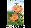 2004.07.12