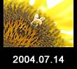 2004.07.14