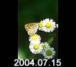 2004.07.15