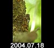2004.07.18