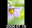 2004.07.19