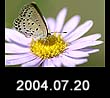 2004.07.20