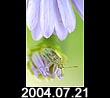 2004.07.21