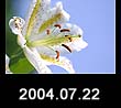 2004.07.22
