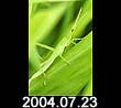2004.07.23