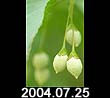 2004.07.25