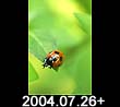2004.07.26