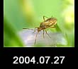 2004.07.27