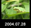 2004.07.28