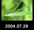 2004.07.29