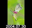 2004.07.30