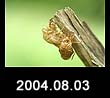 2004.08.03