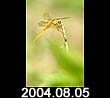 2004.08.05