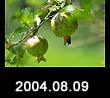 2004.08.09